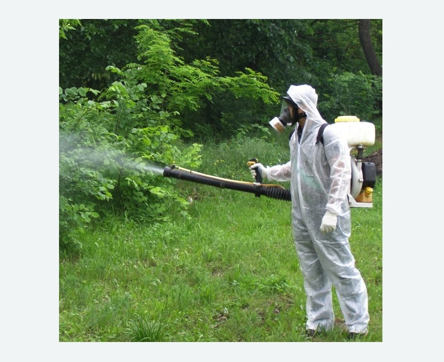 обработка территории от клещей в Спасске