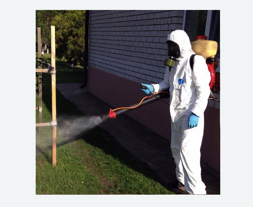 травля клещей на участке в Спасске