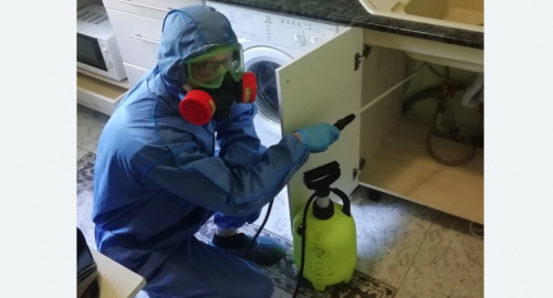 Уничтожение муравьев в квартире. Спасск