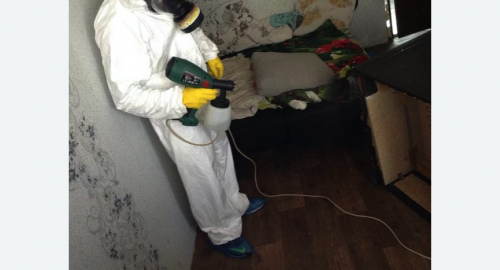 Обработка квартир от насекомых в Спасске