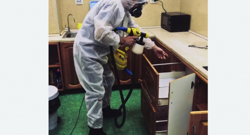 Дезинсекция квартиры. Спасск