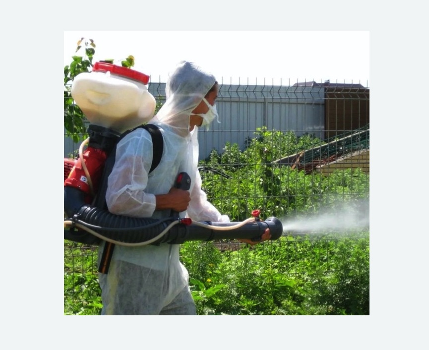 Акарицидная обработка территории в Спасске