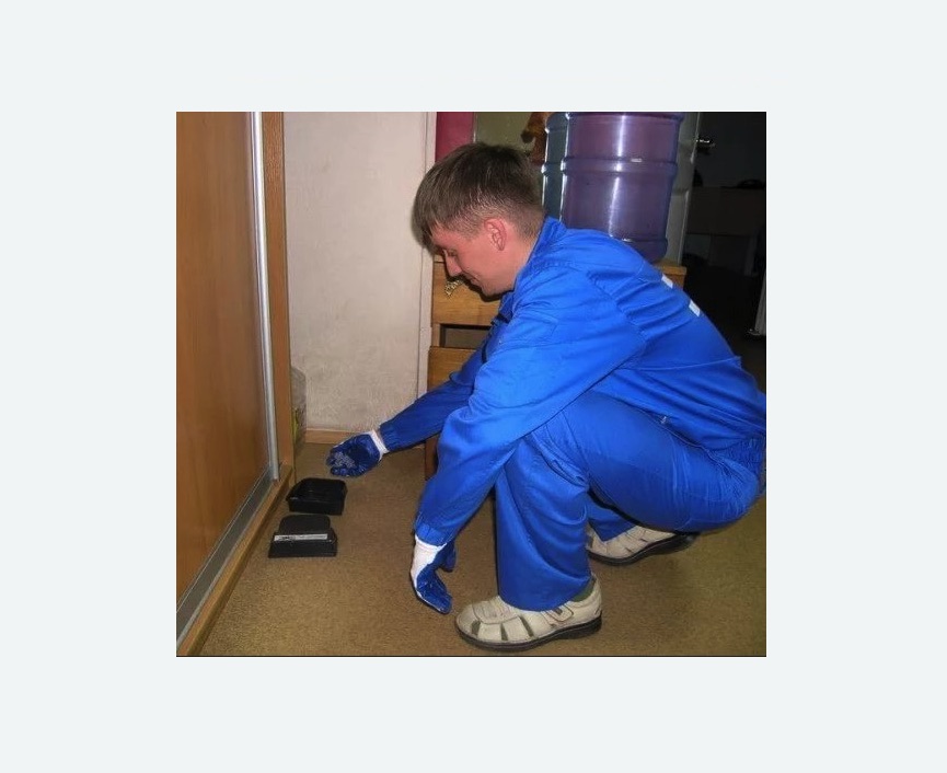 Дератизация крыс в Спасске