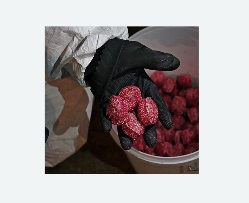 Обработка от крыс в Спасске