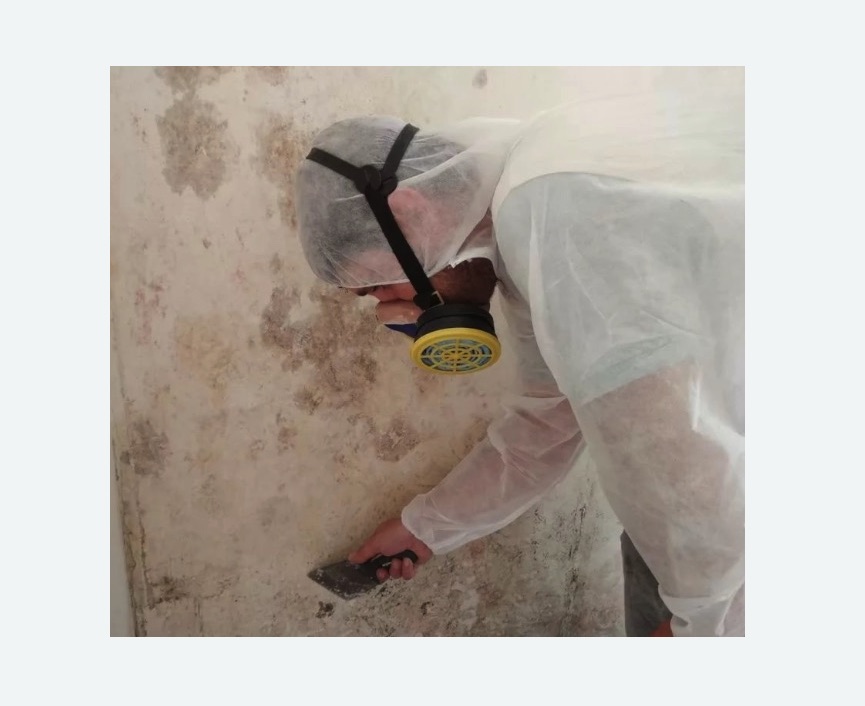 Обработка стен от плесени в Спасске
