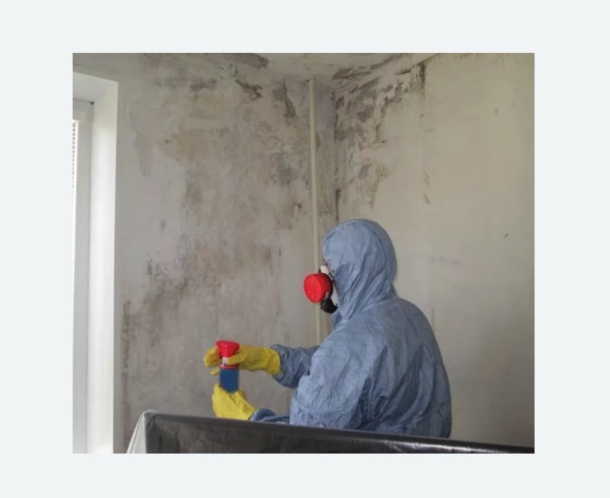 Удаление плесени в квартире в Спасске