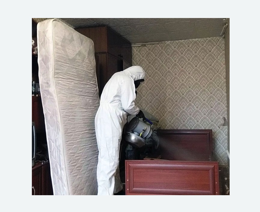 дезинфекция от клопов в Спасске