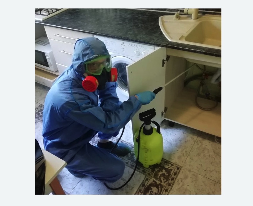 обработка от муравьев в квартире в Спасске