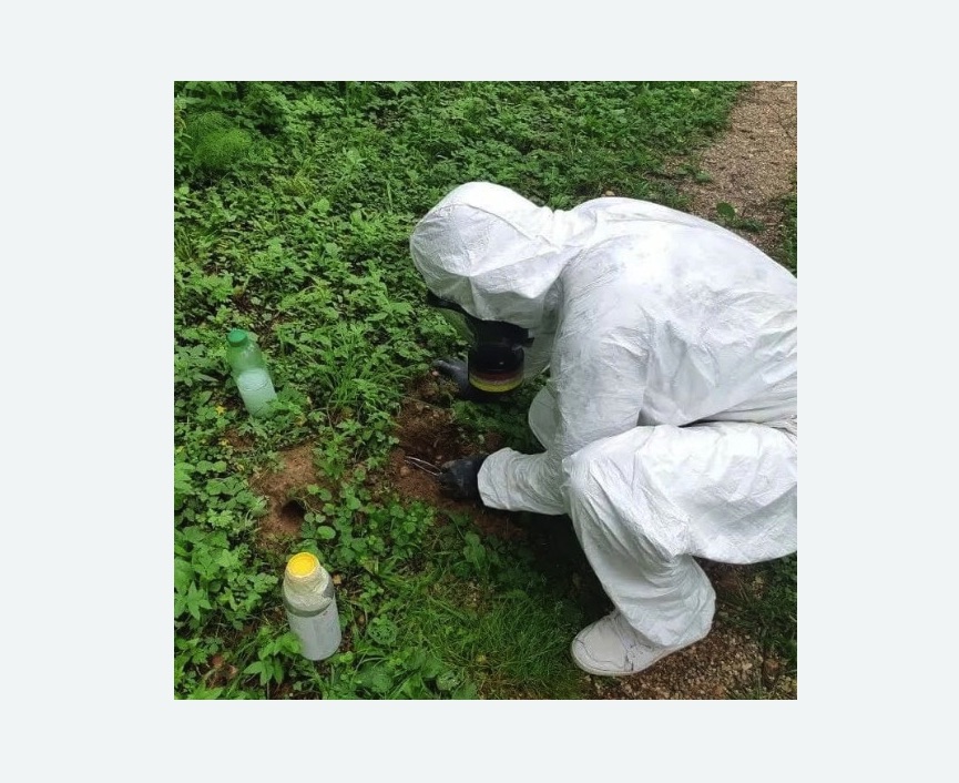 уничтожение кротов на участке в Спасске