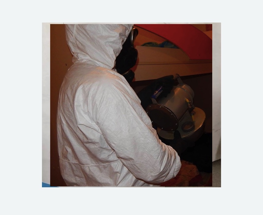 Дезинфекция от муравьев в Спасске