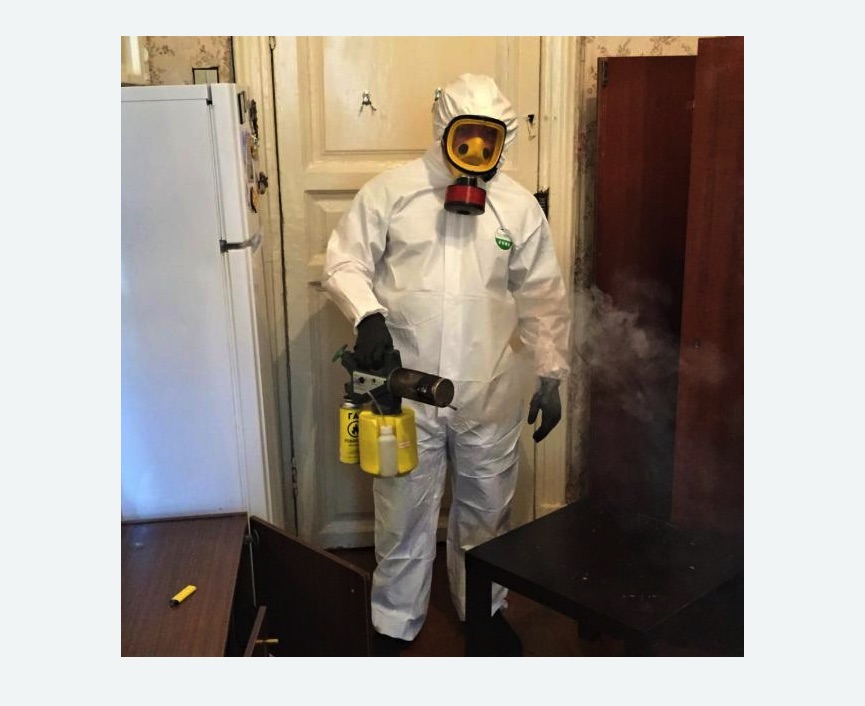 уничтожение муравьев в квартире в Спасске